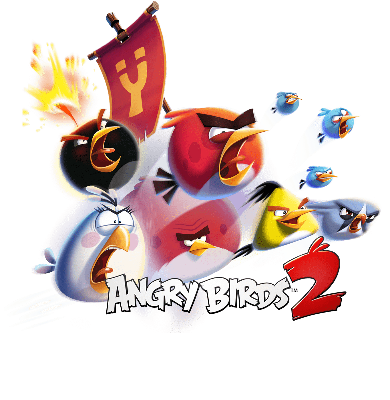ANGRY BIRD